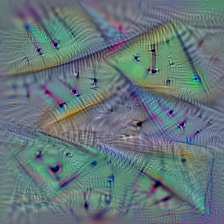 n04118776
